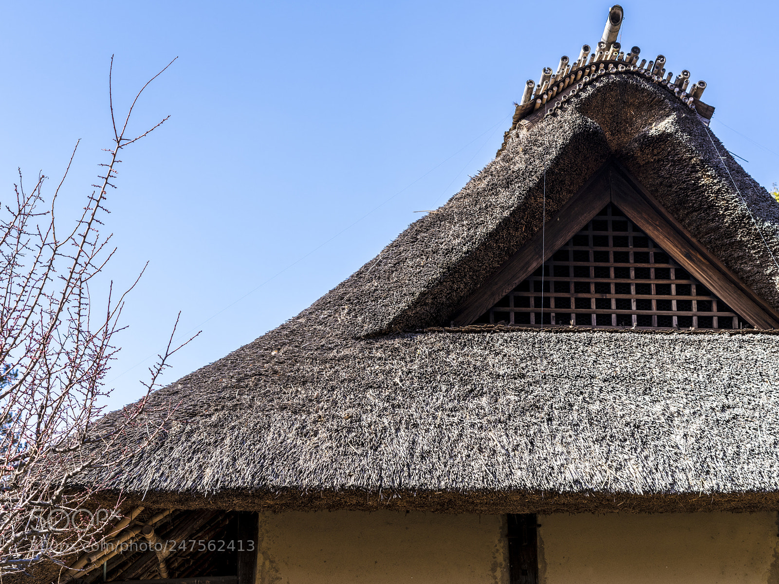 Pentax 645Z sample photo. Roof of farmer's house photography