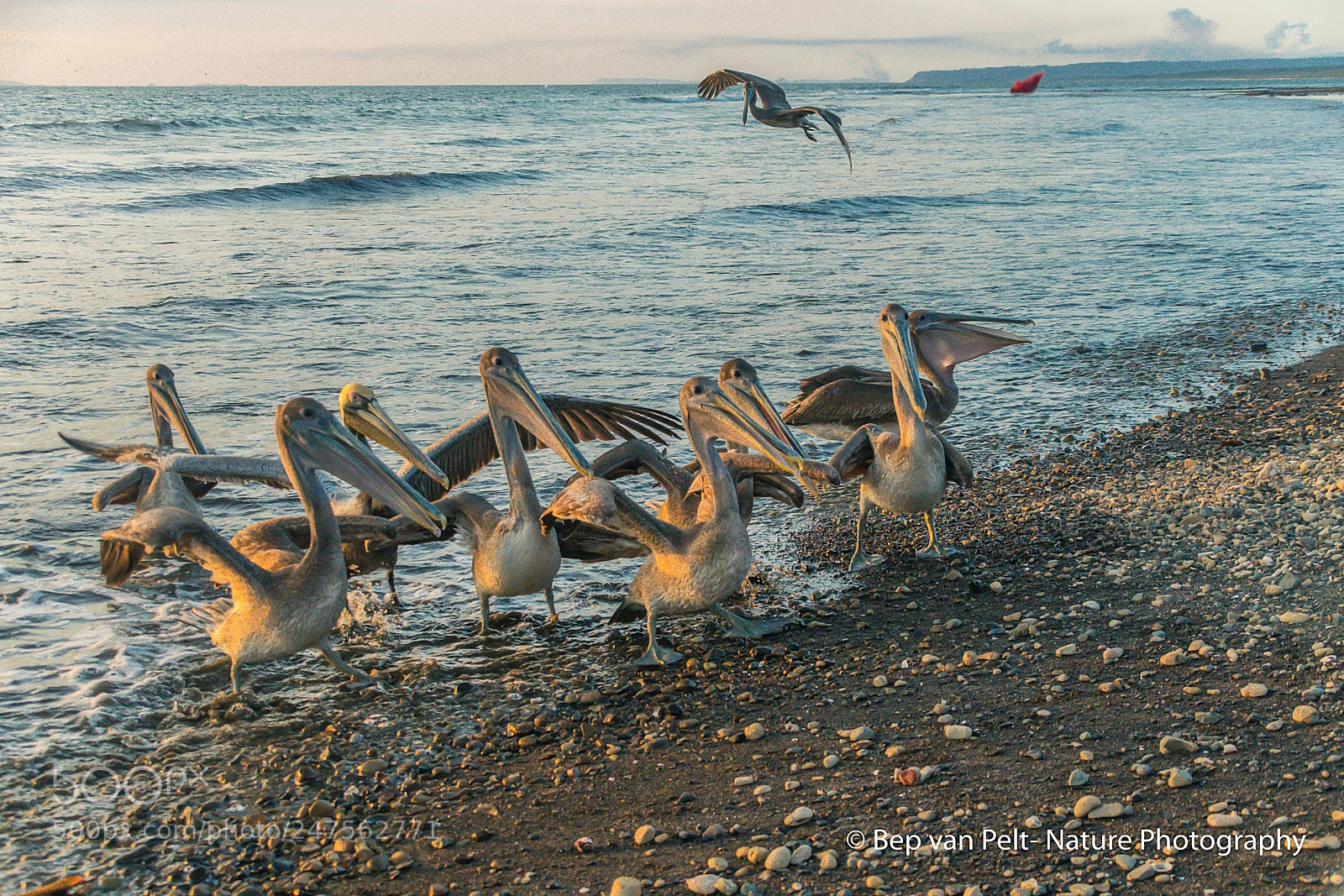 Nikon D500 sample photo. Waiting for the fish photography