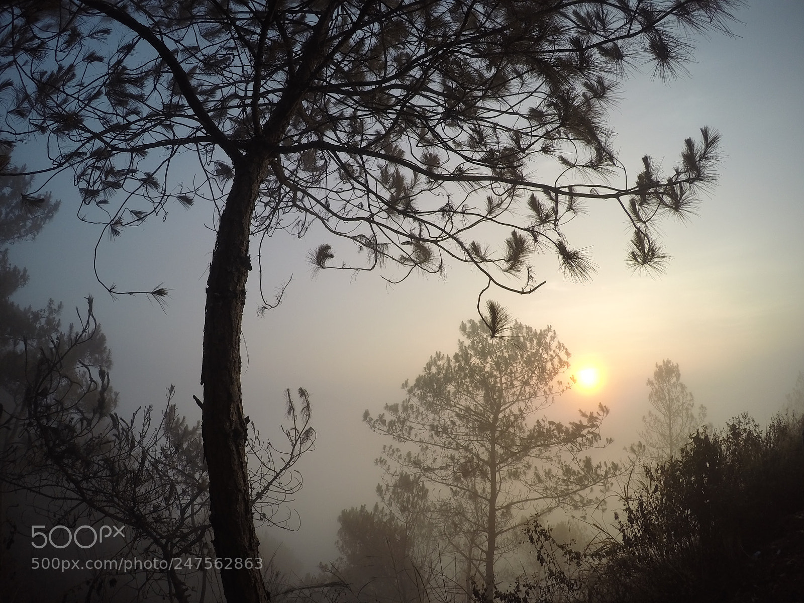 GoPro HERO4 Silver sample photo. Sea of clouds photography