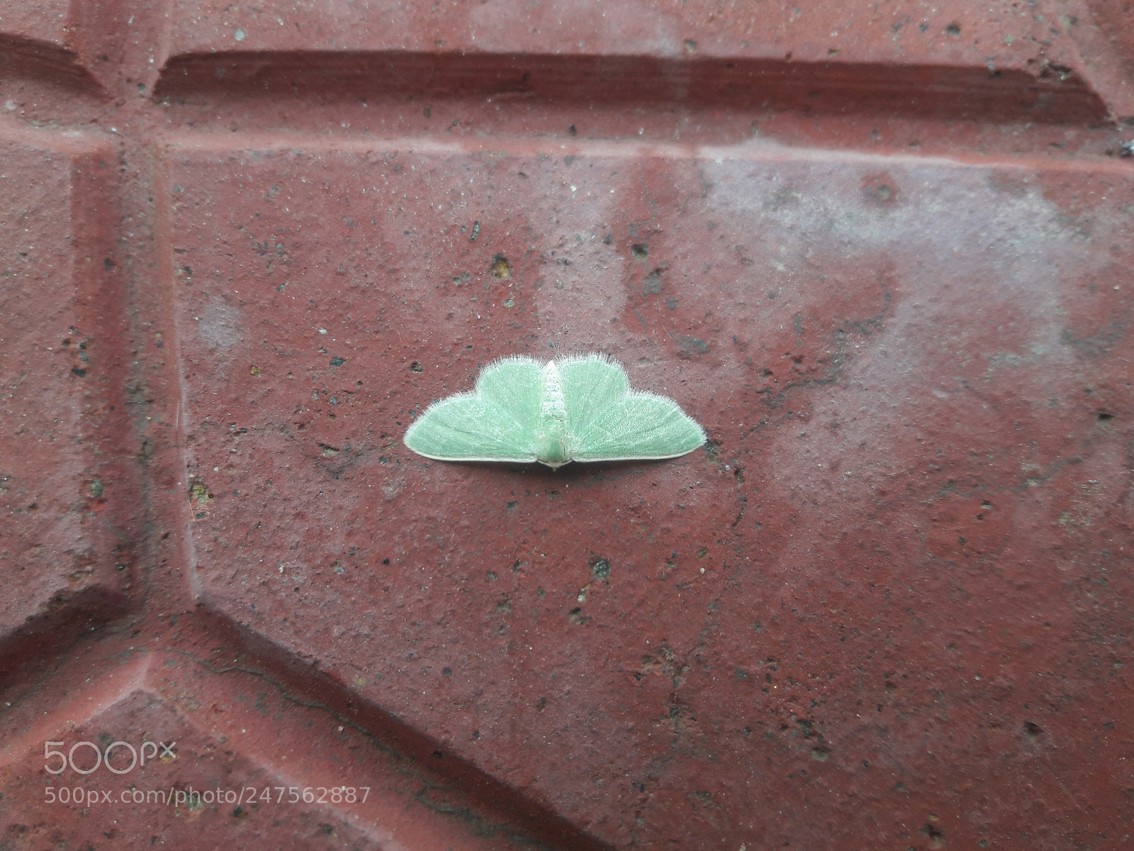 Samsung Galaxy J7 sample photo. 20161011_125459.jpg photography