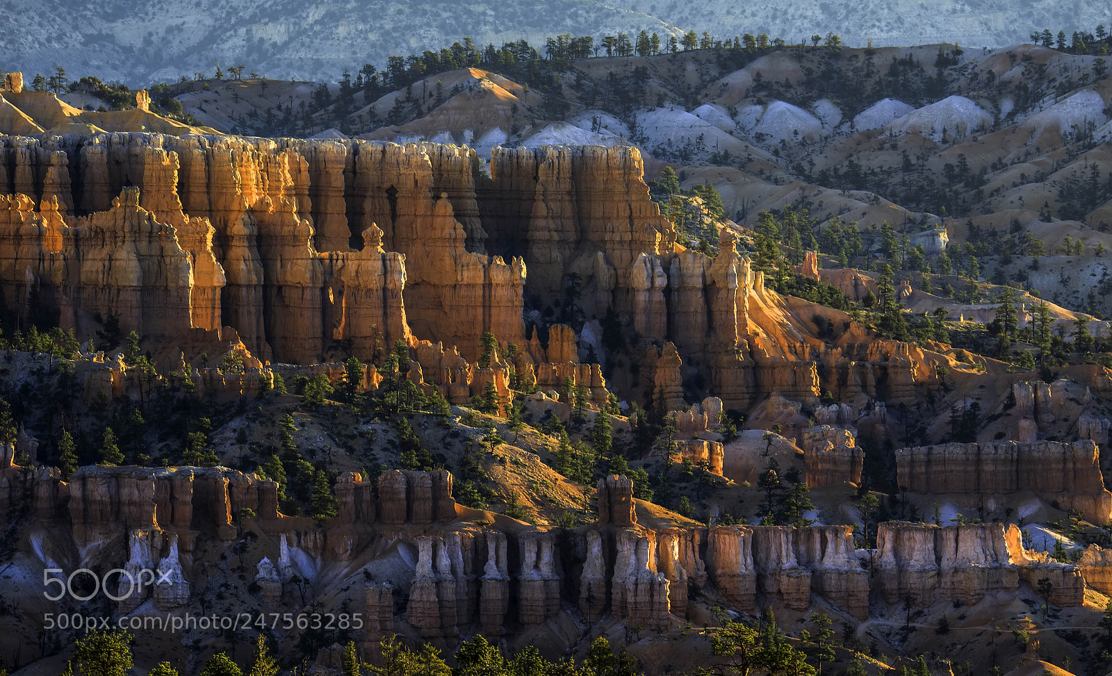 Canon EOS 50D sample photo. Golden sunrise at bryce photography