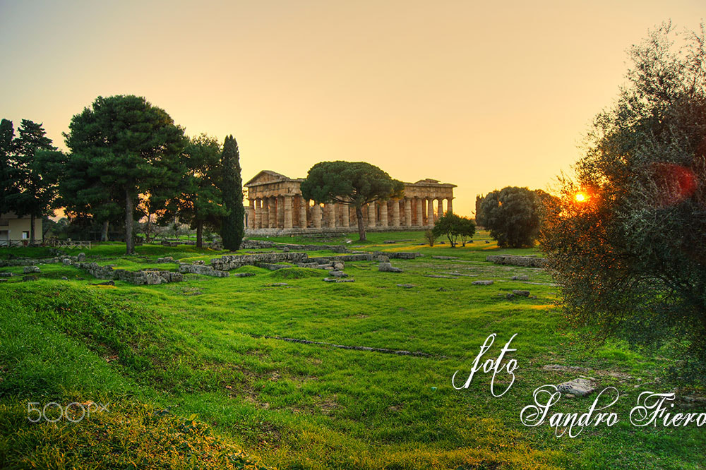 Sony Alpha DSLR-A550 sample photo. Templi paestum (salerno) photography