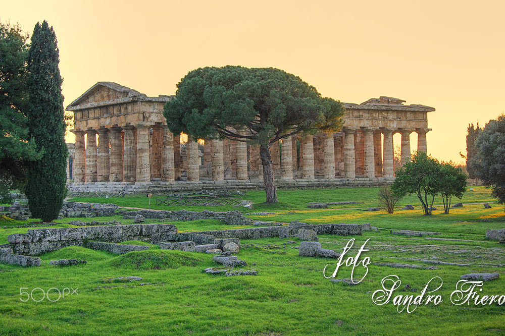 Sony Alpha DSLR-A550 sample photo. Templi paestum (salerno) photography