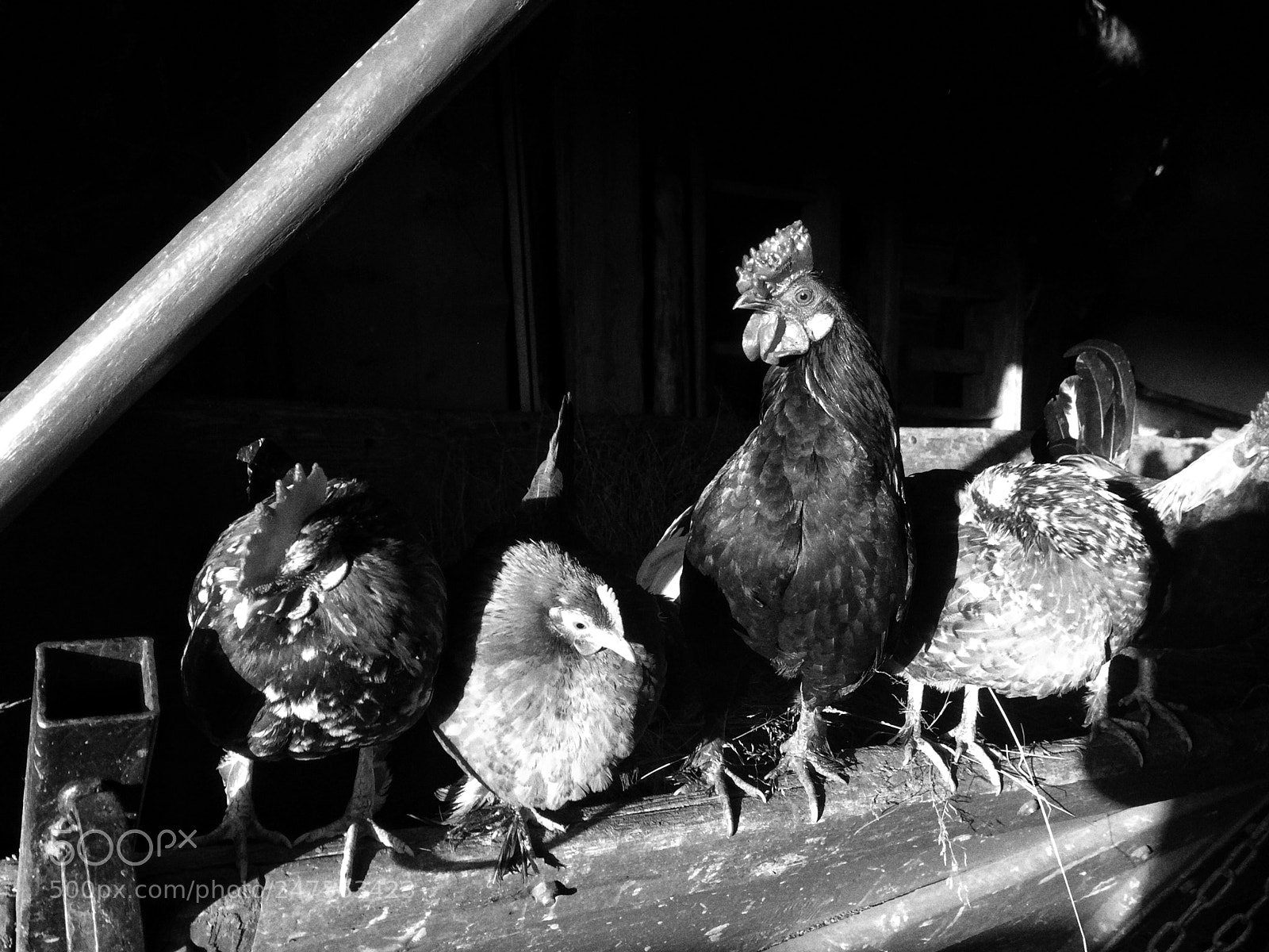 Apple iPhone 5s sample photo. Untitled photography