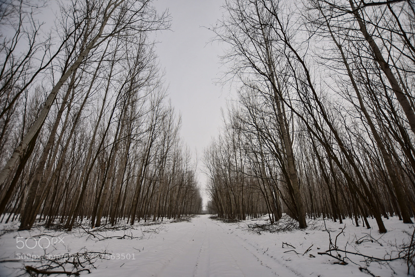 Nikon D7200 sample photo. Untitled photography