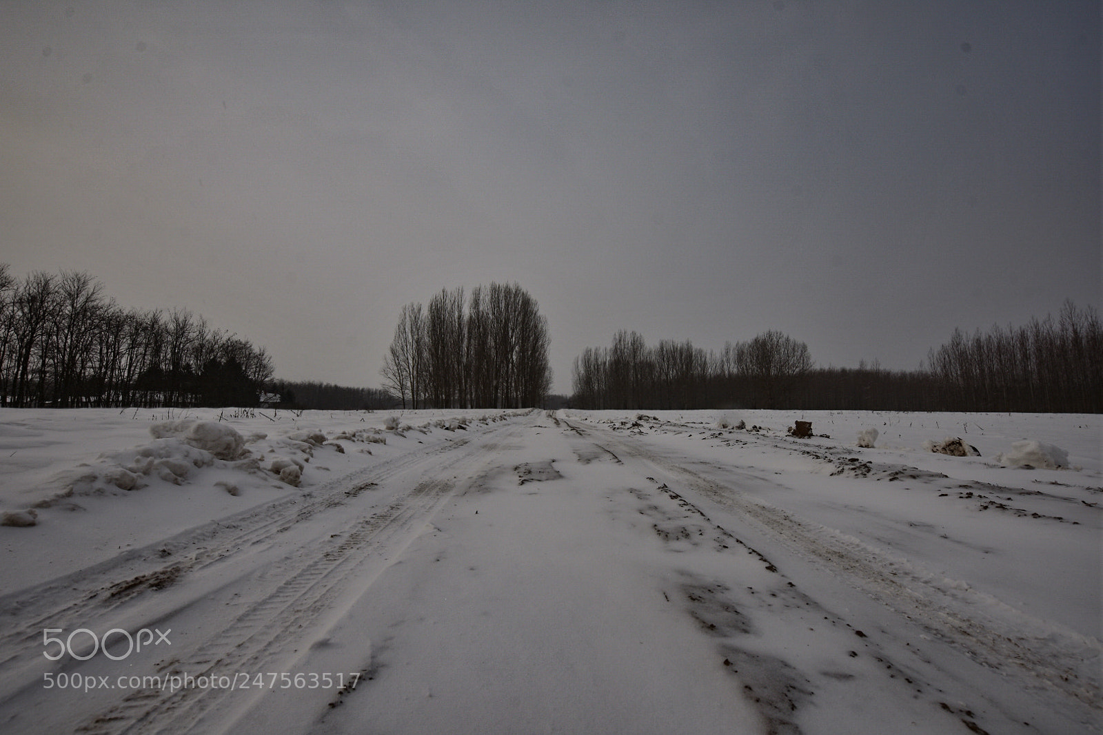 Nikon D7200 sample photo. Untitled photography