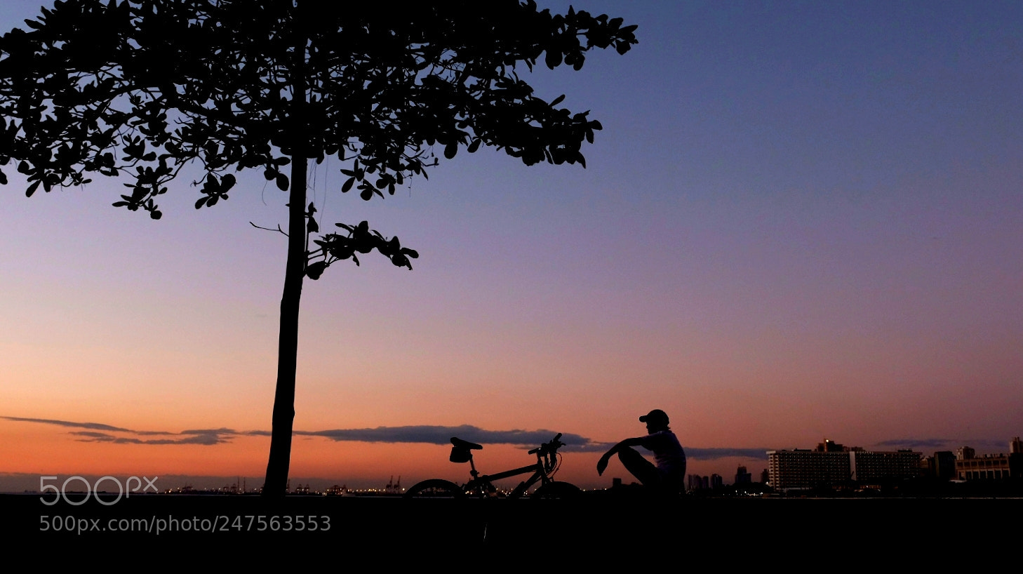 Fujifilm X-T20 sample photo. Untitled photography
