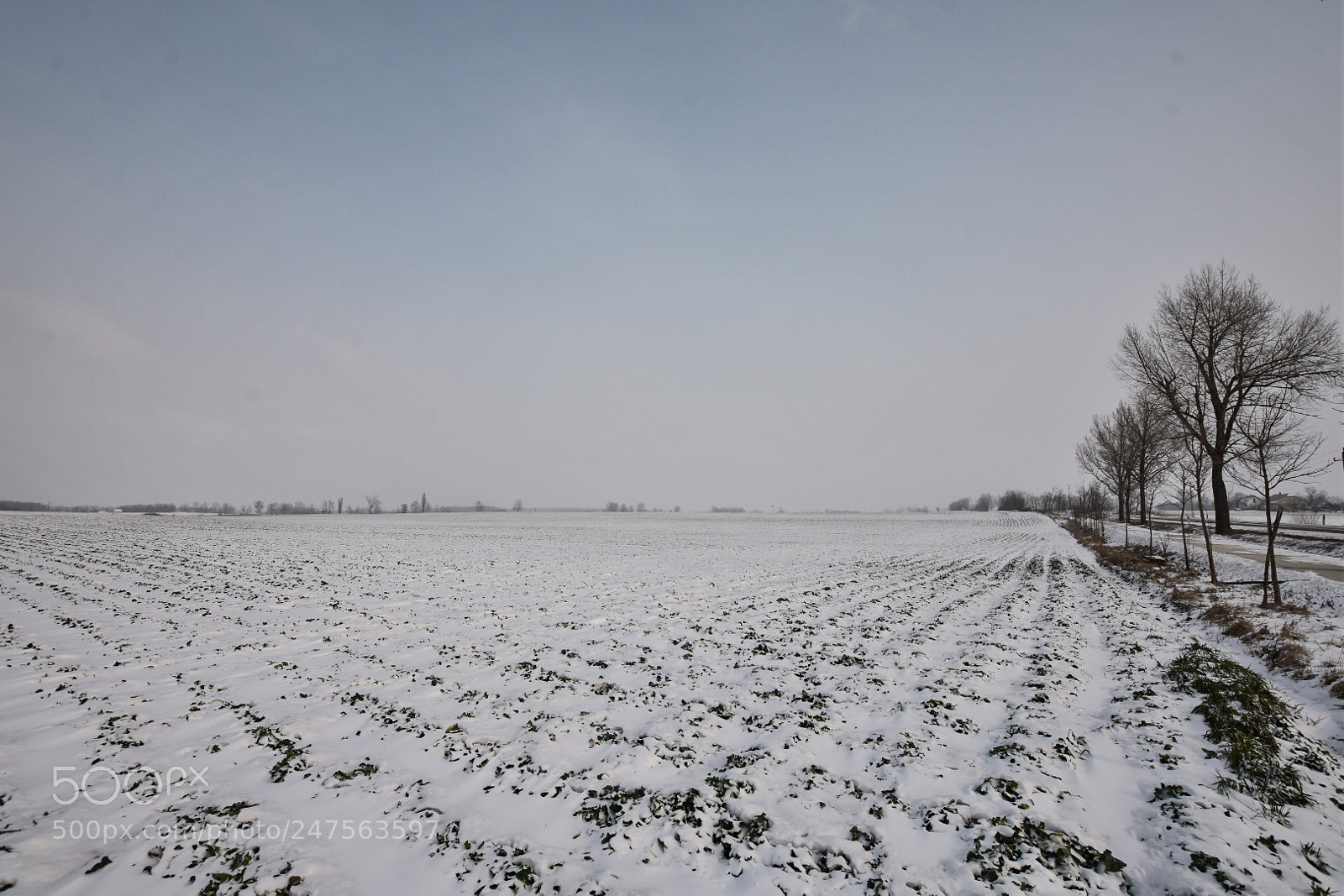 Nikon D7200 sample photo. Untitled photography