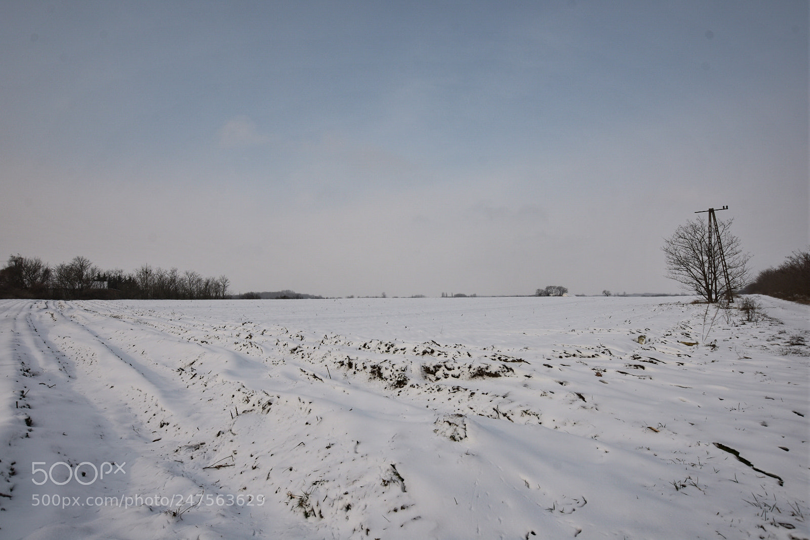 Nikon D7200 sample photo. Untitled photography