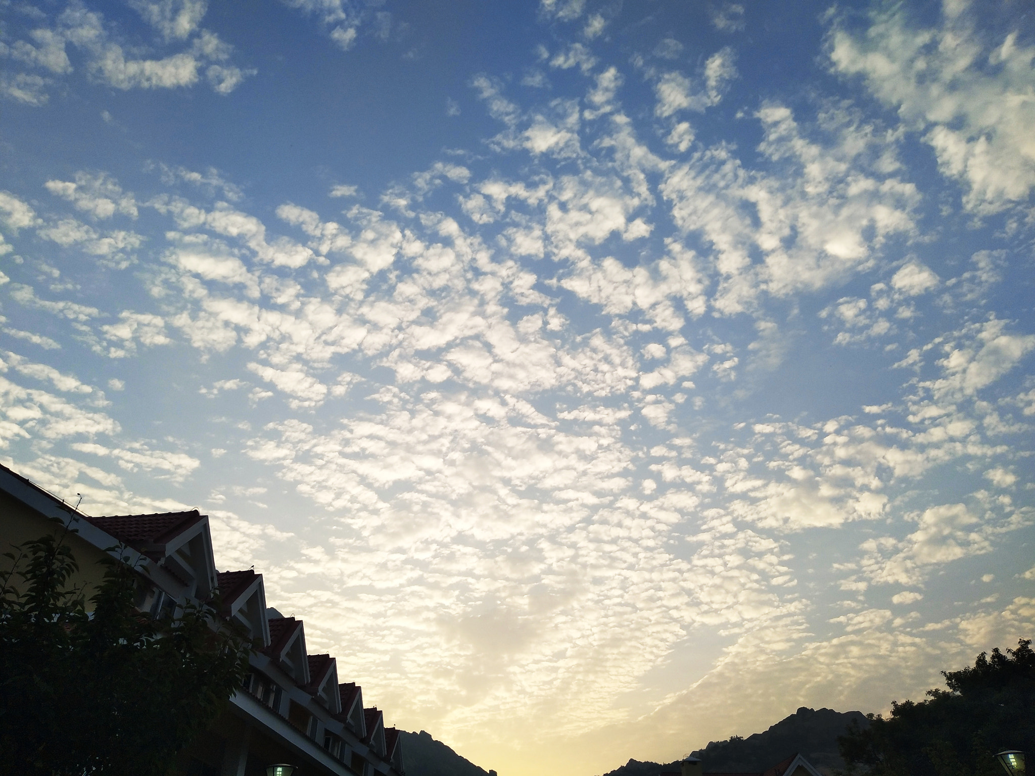 vivo X9 sample photo. 清晨 photography