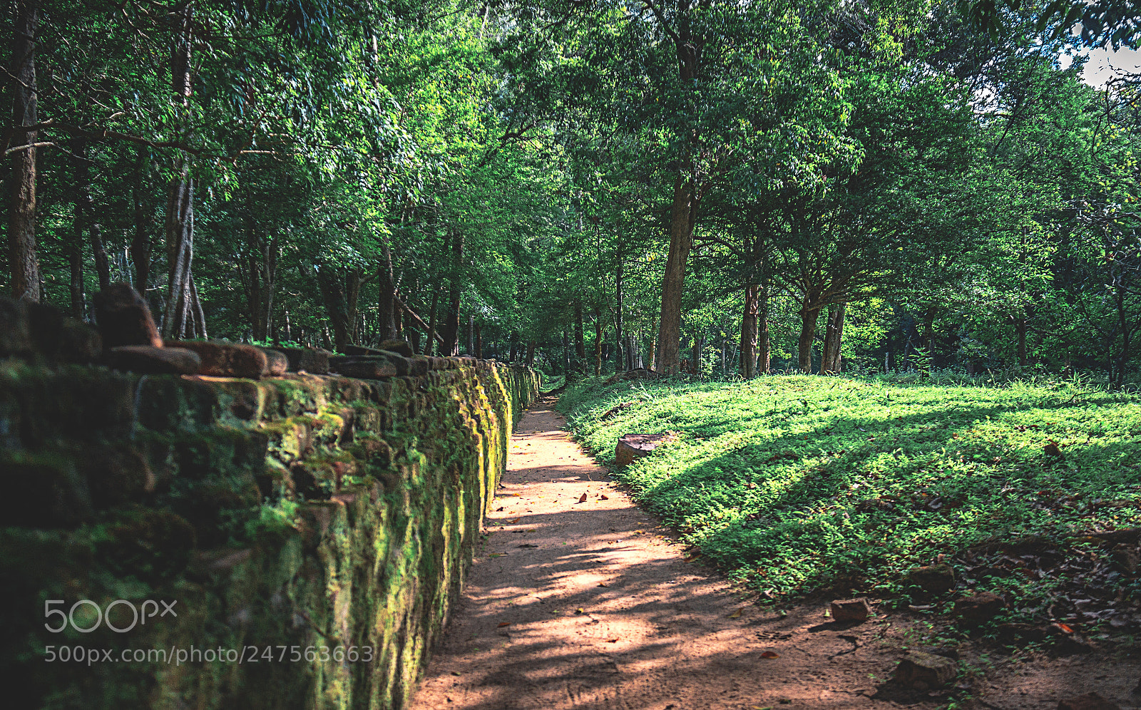 Canon EOS 600D (Rebel EOS T3i / EOS Kiss X5) sample photo. Dakkinagiriya, dambulla, sri lanka #3 photography