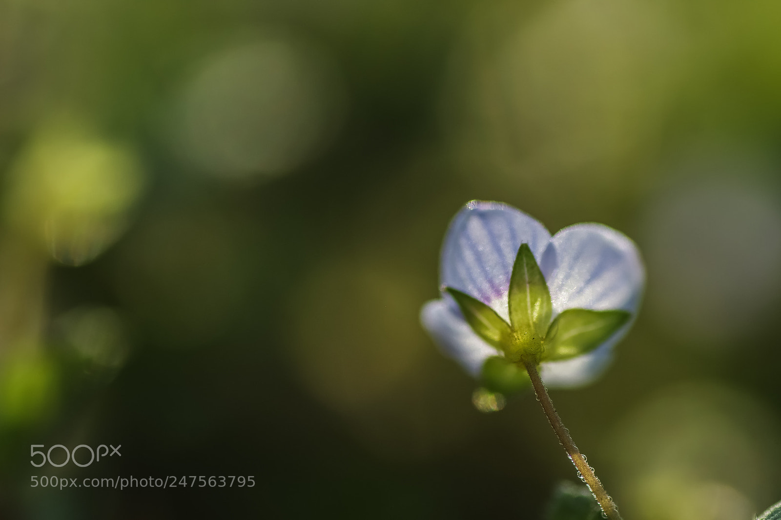 Pentax K-S2 sample photo. Se tourner vers la photography