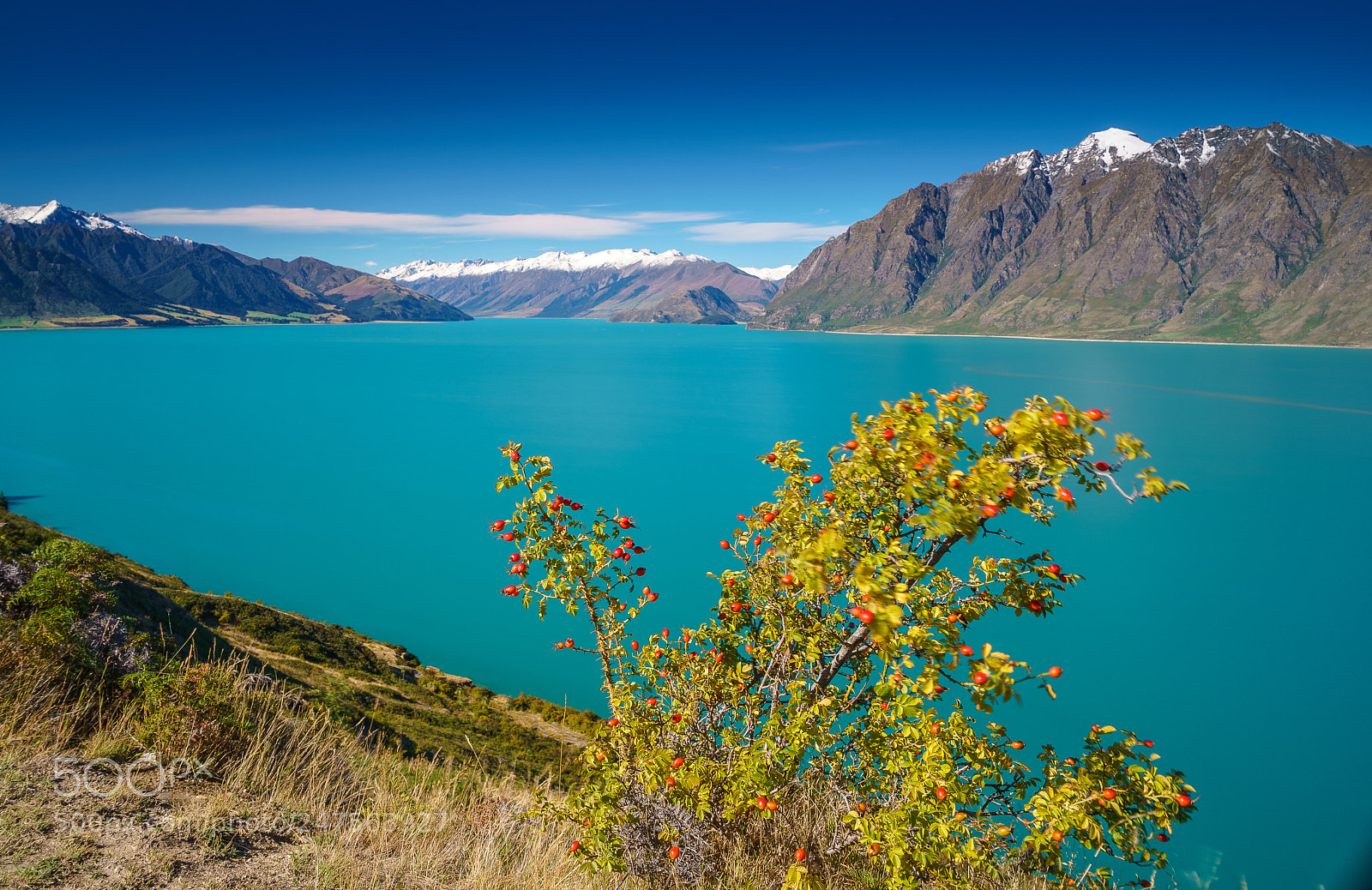 Sony a9 sample photo. Lake hawea photography