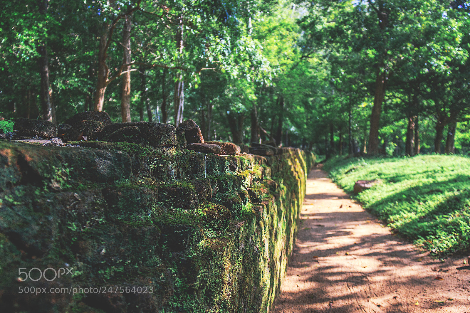 Canon EOS 600D (Rebel EOS T3i / EOS Kiss X5) sample photo. Dakkinagiriya, dambulla, sri lanka #4 photography