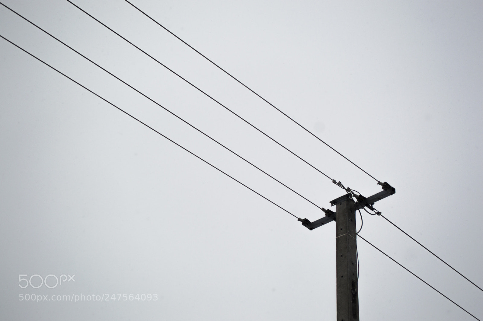 Nikon D3200 sample photo. Wire photography
