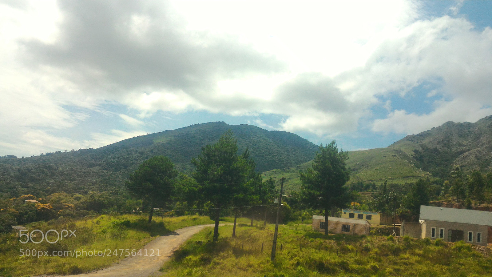 ASUS ZenFone 2 (ZE551ML) sample photo. Good morning photography