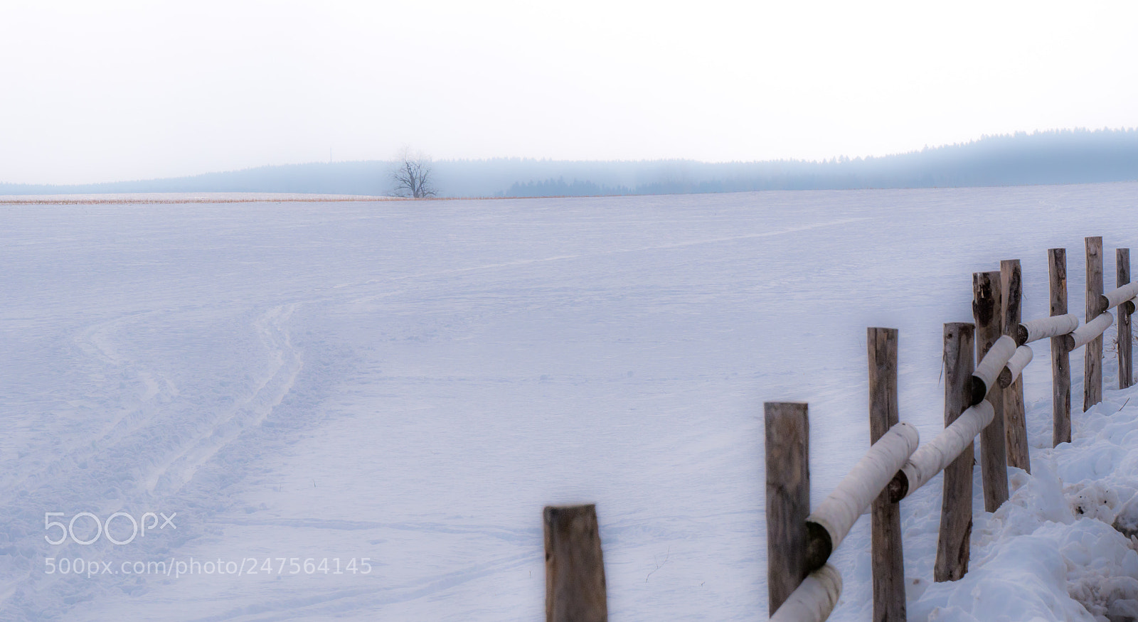 Panasonic DMC-G70 sample photo. Winter photography