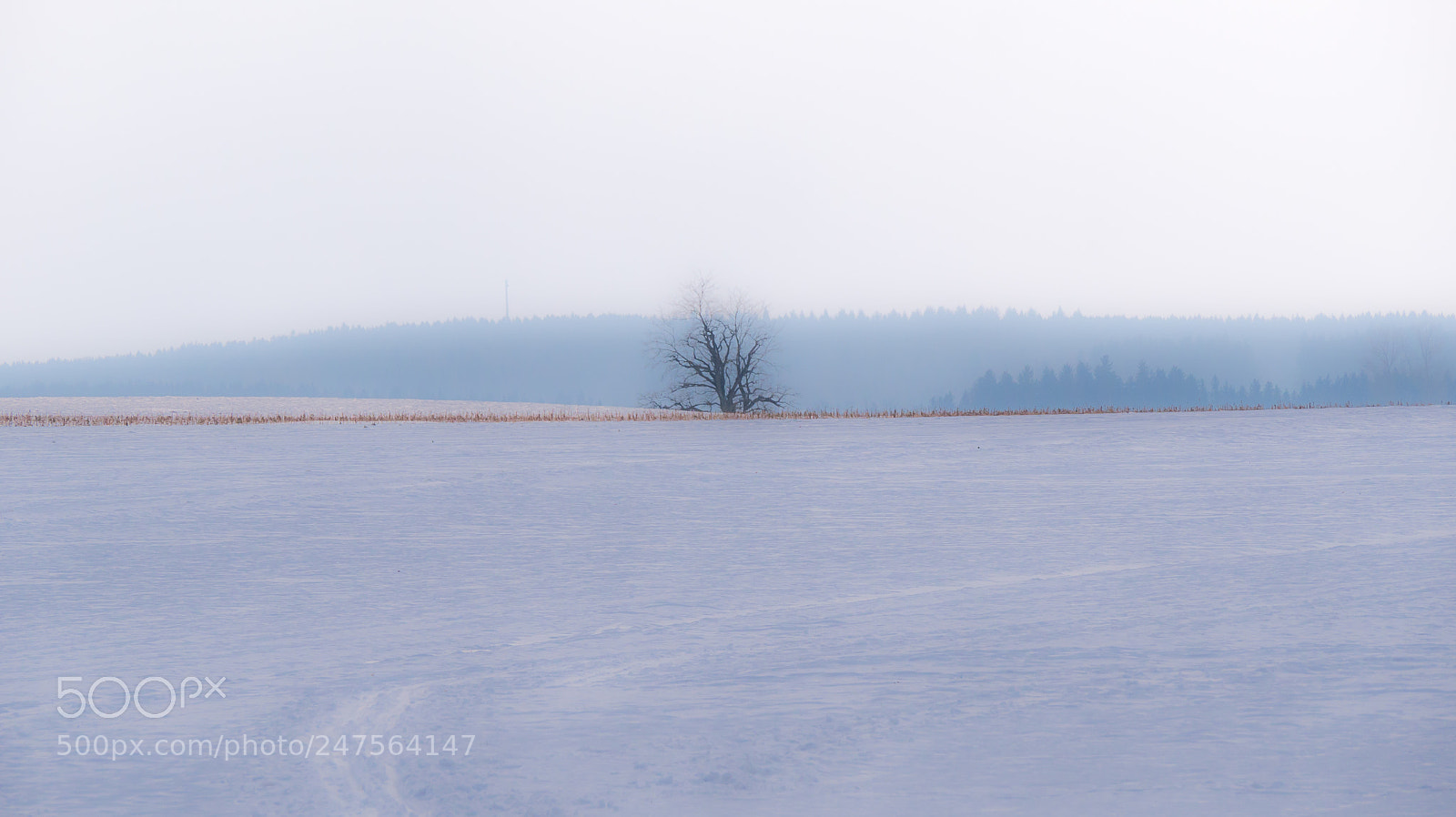 Panasonic DMC-G70 sample photo. Winter photography