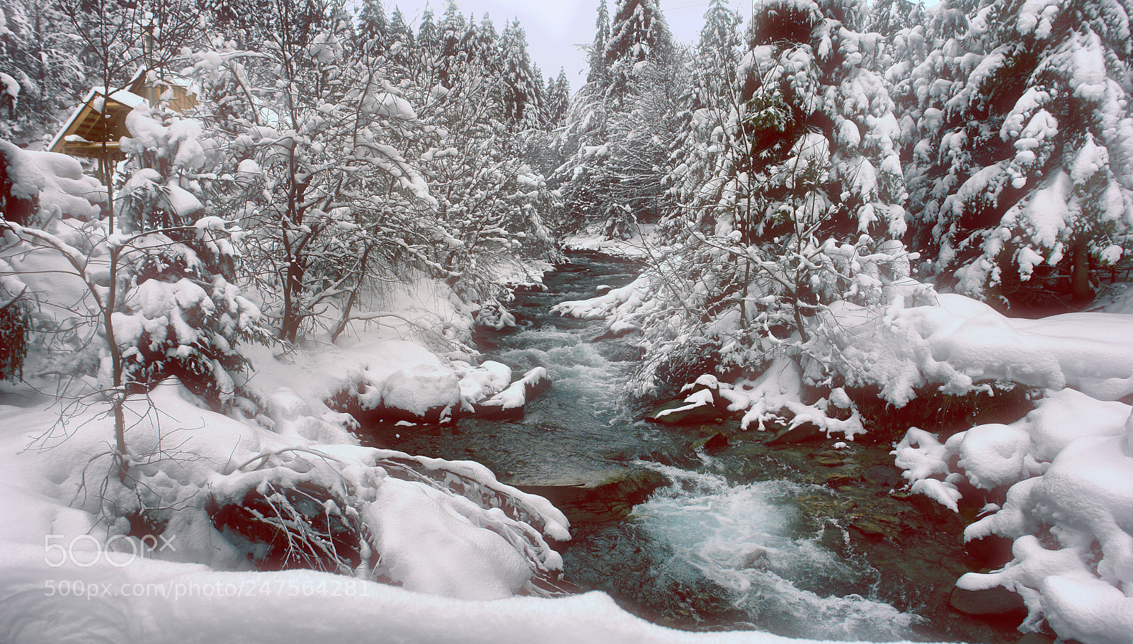 Sony DSC-R1 sample photo. Carpathian mountains photography