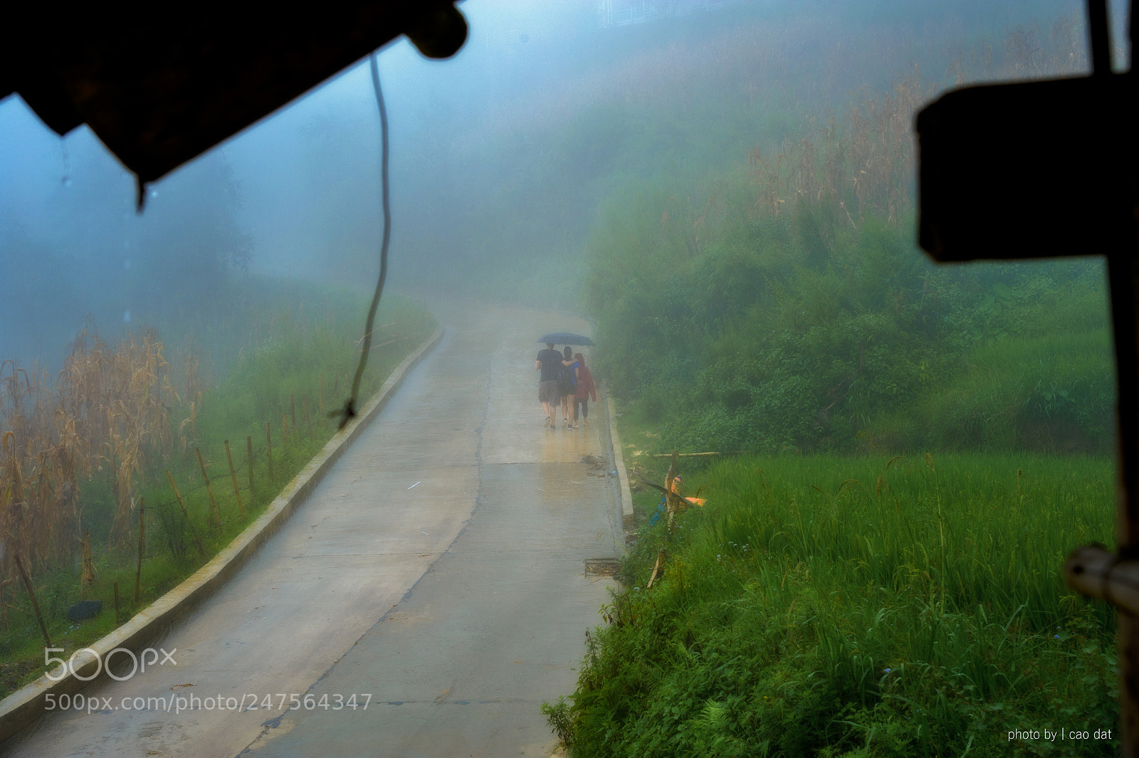 Nikon D700 sample photo. Sapa photography