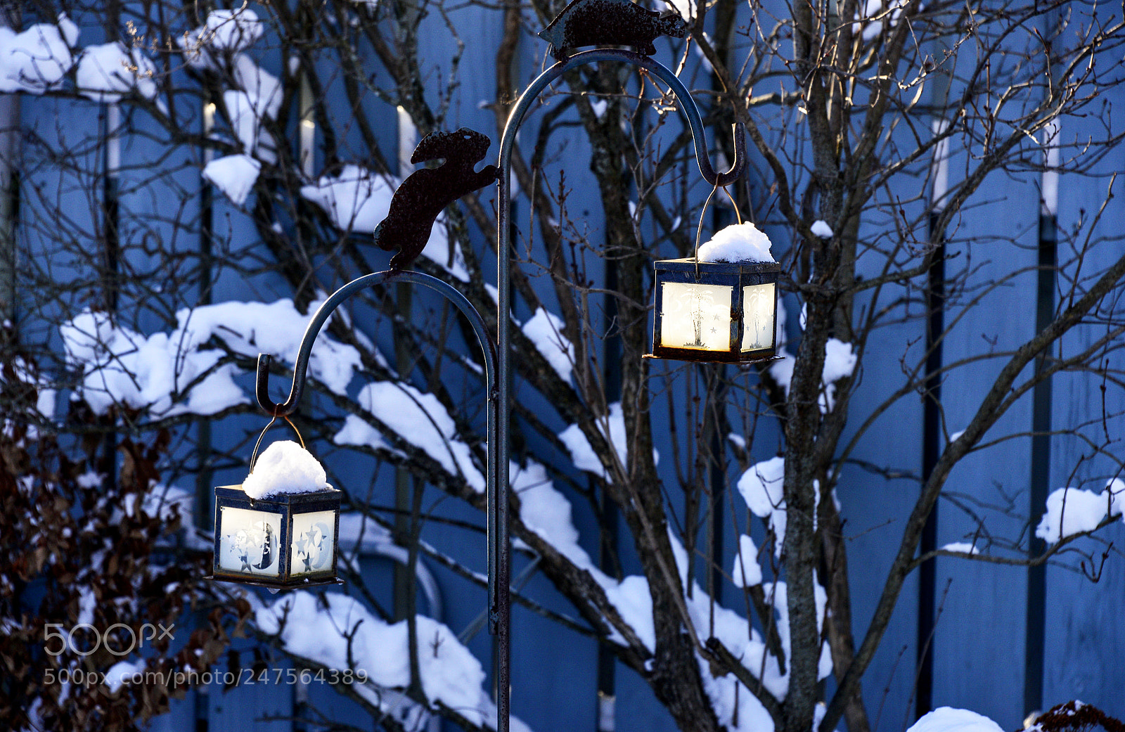 Nikon D610 sample photo. Candlelight  from the sun photography