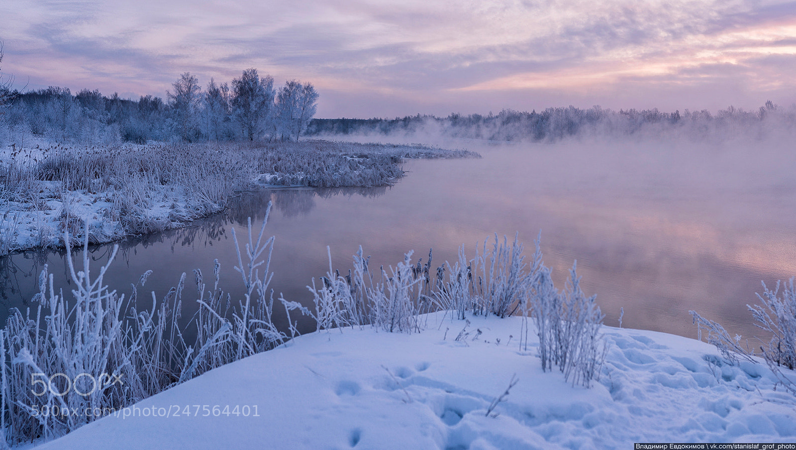 Nikon D700 sample photo. Morning in pink tones photography