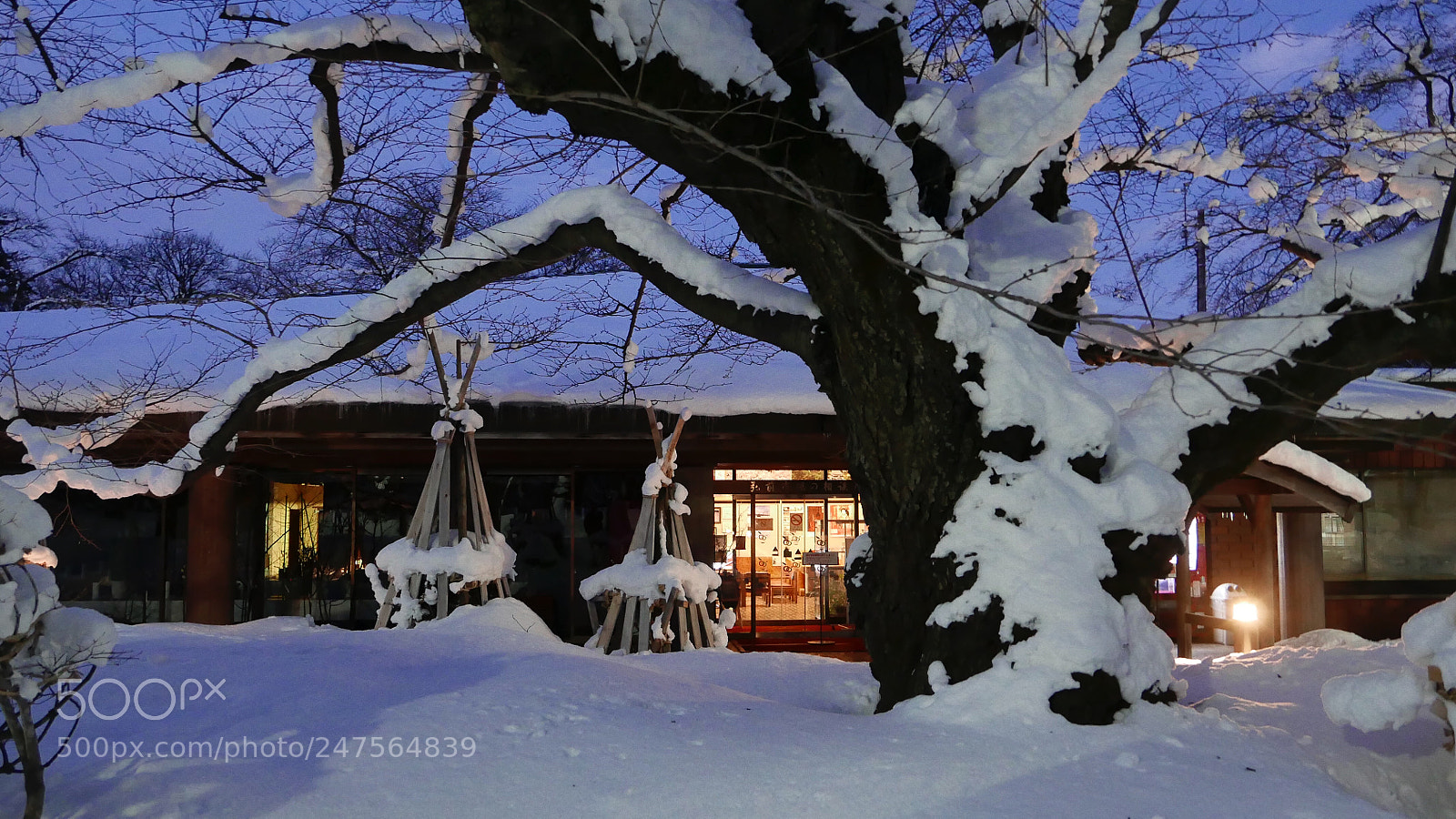 Leica D-Lux (Typ 109) sample photo. 雪夜。。。 photography