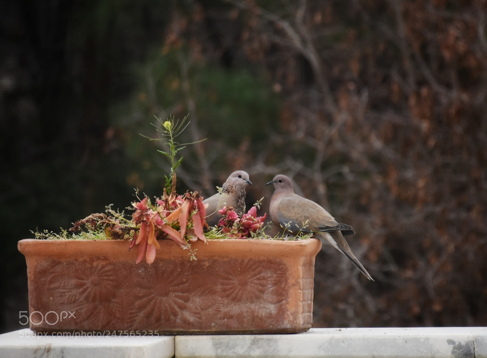 Nikon D7200 sample photo. Untitled photography