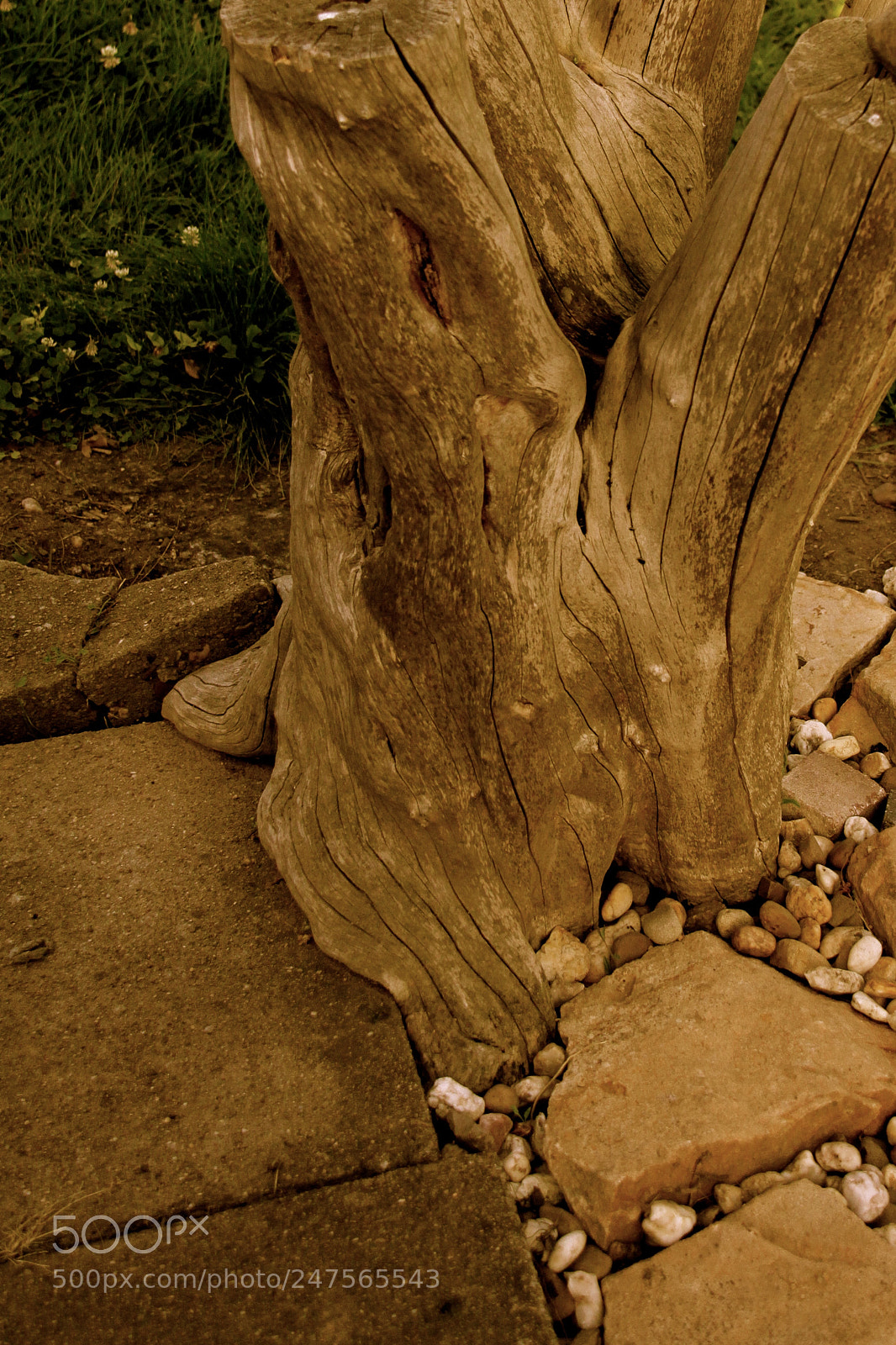 Canon EOS 50D sample photo. الحجر المتعب photography