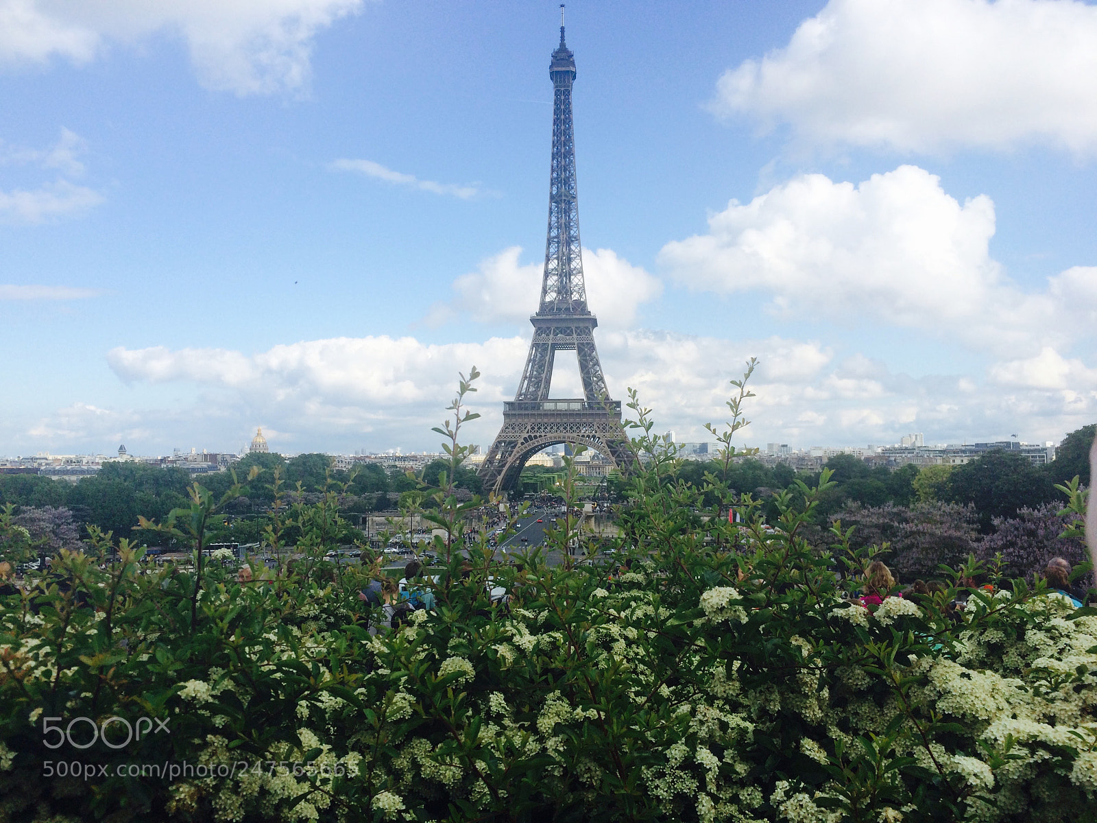 Apple iPhone 5s sample photo. La dame du fleurs photography