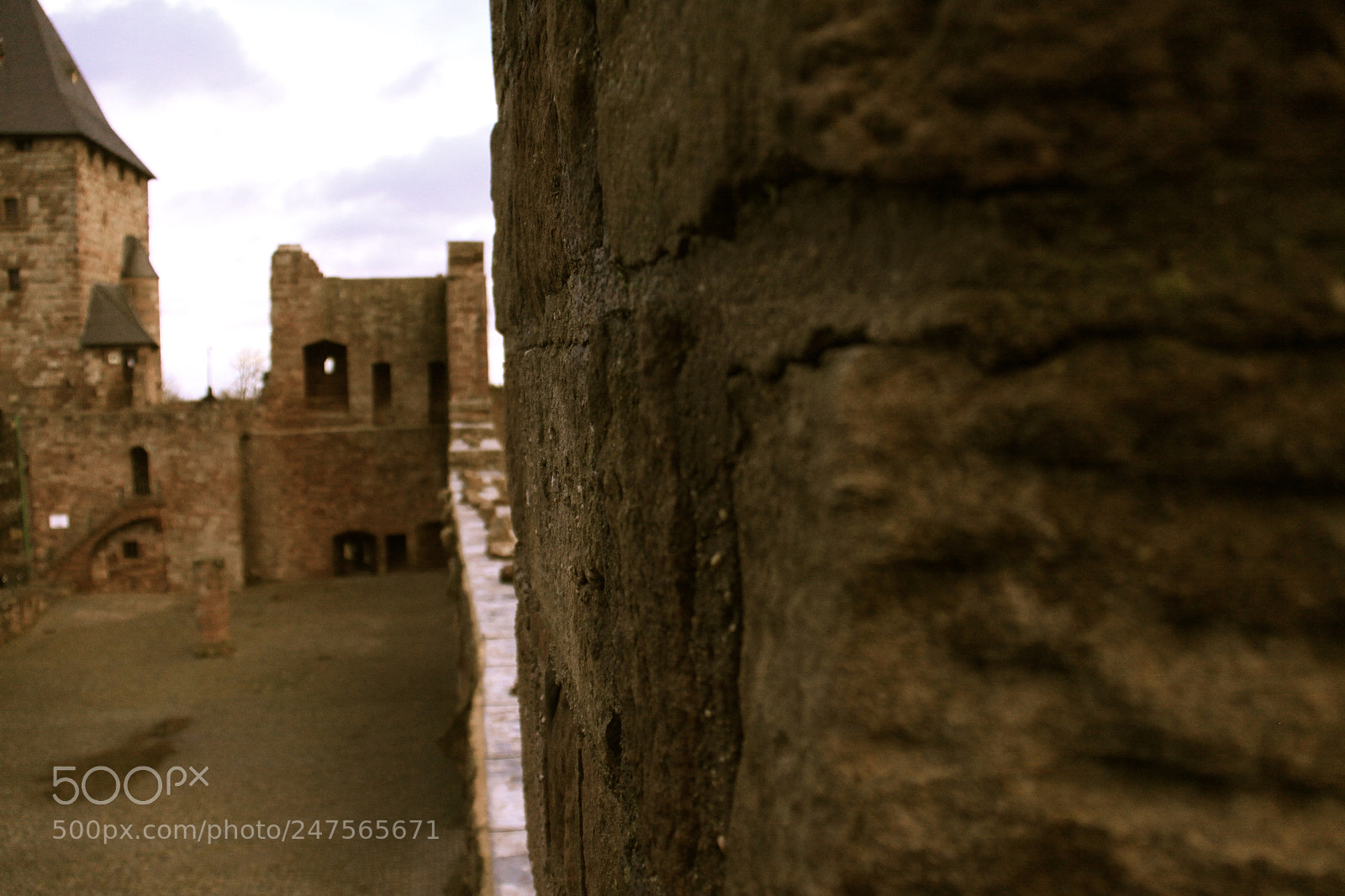 Canon EOS 50D sample photo. الراين ٢ photography
