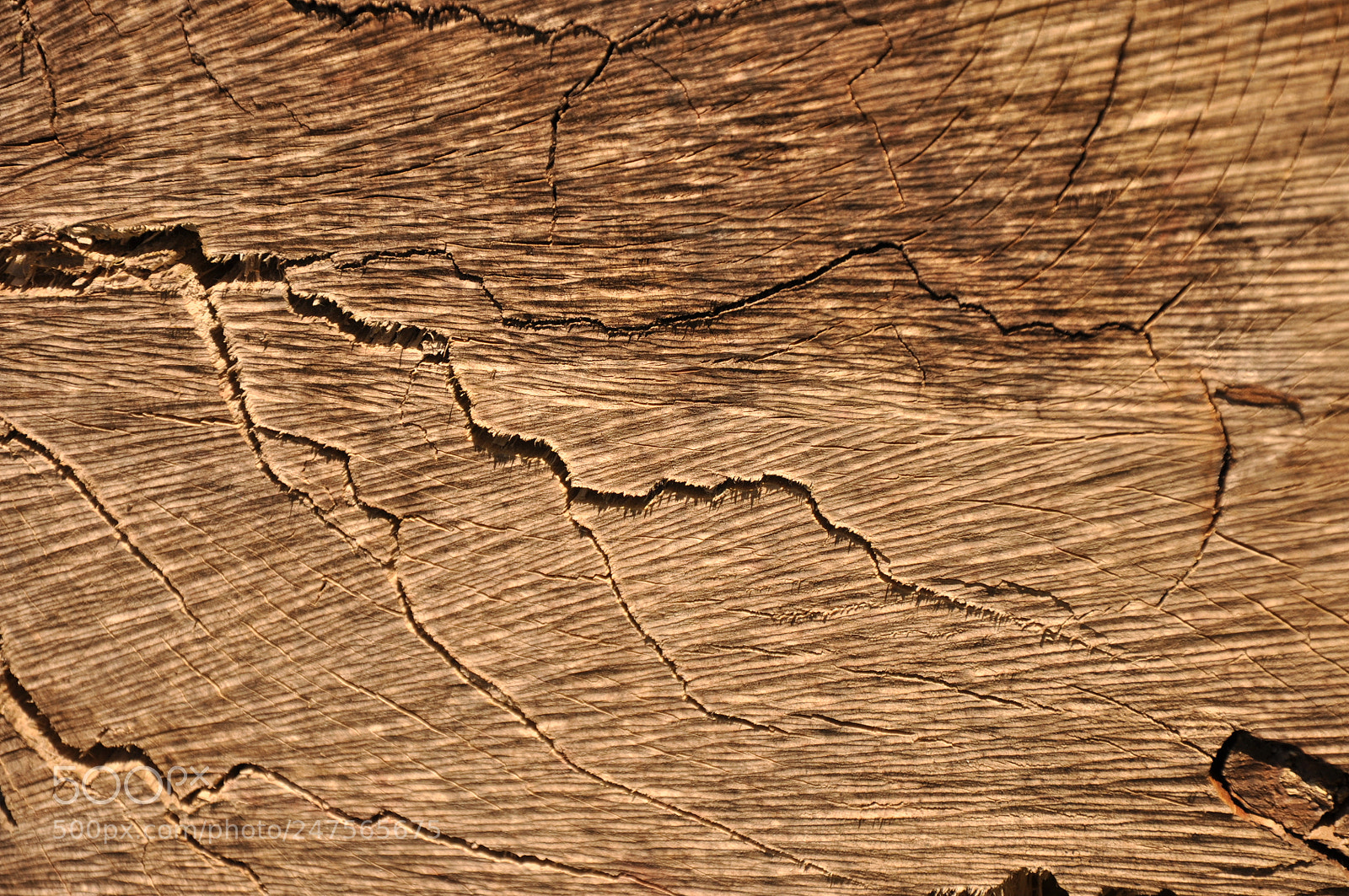 Nikon D90 sample photo. Bois photography