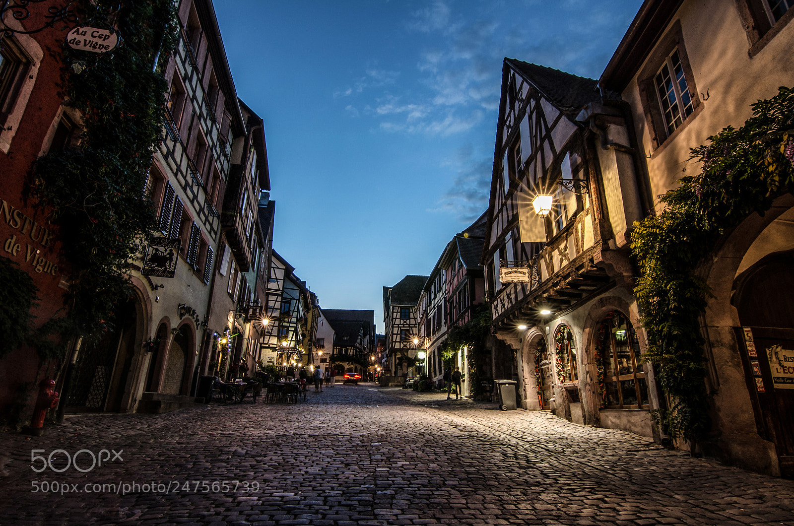 Nikon D5100 sample photo. Riquewihr photography