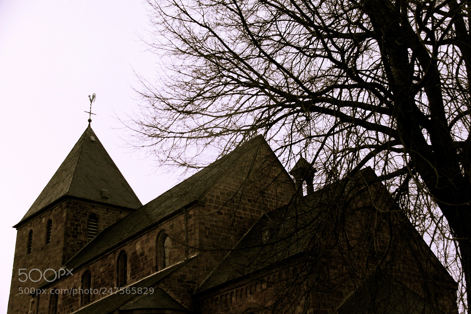 Canon EOS 50D sample photo. Untitled photography