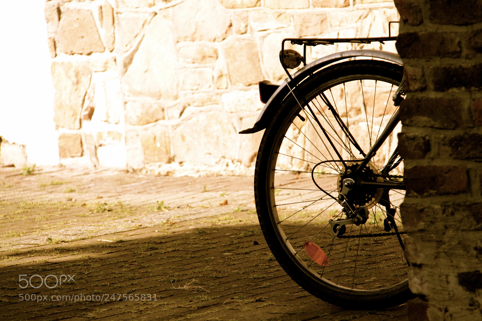 Canon EOS 50D sample photo. الفدية photography