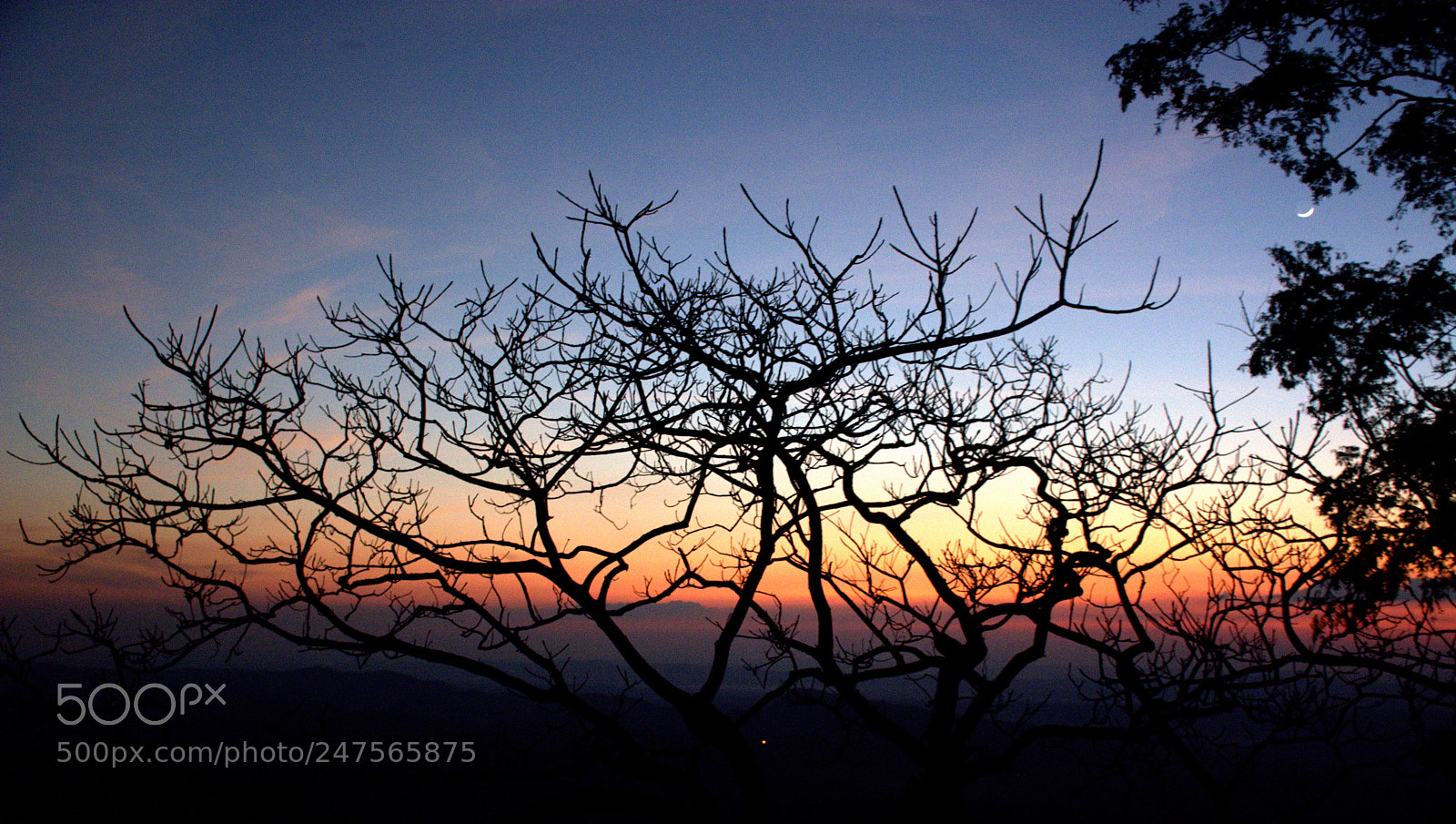 Nikon D7100 sample photo. Color of nature photography