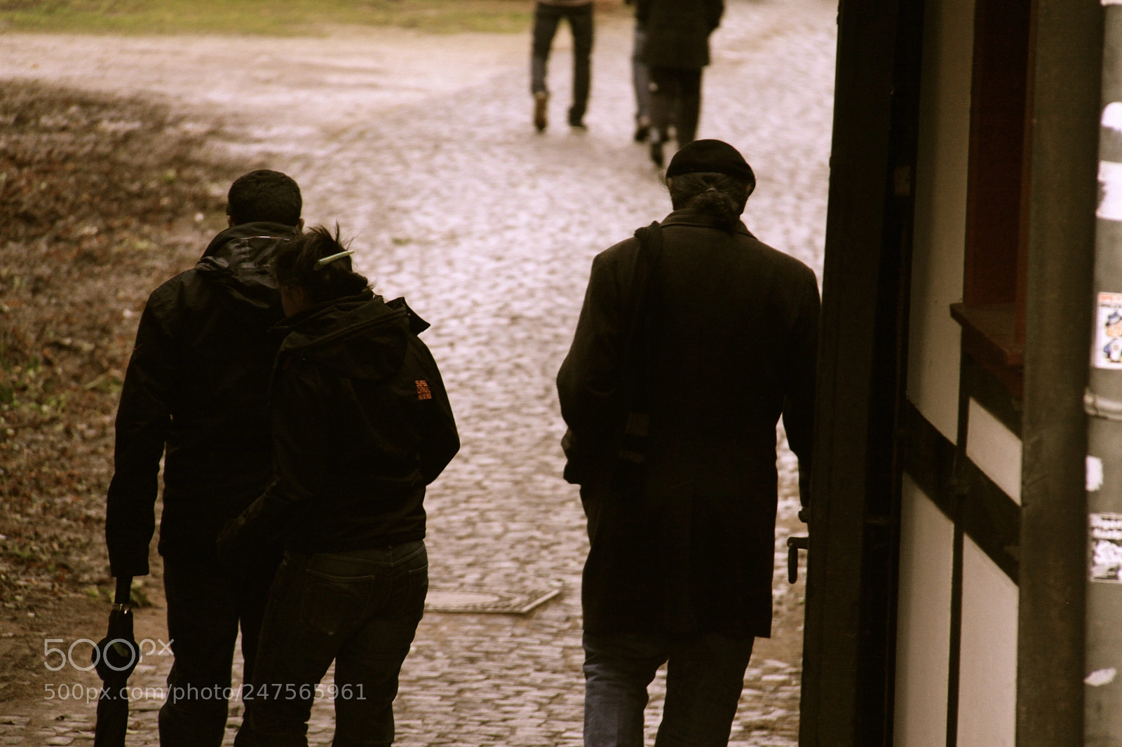 Canon EOS 50D sample photo. الكمان photography