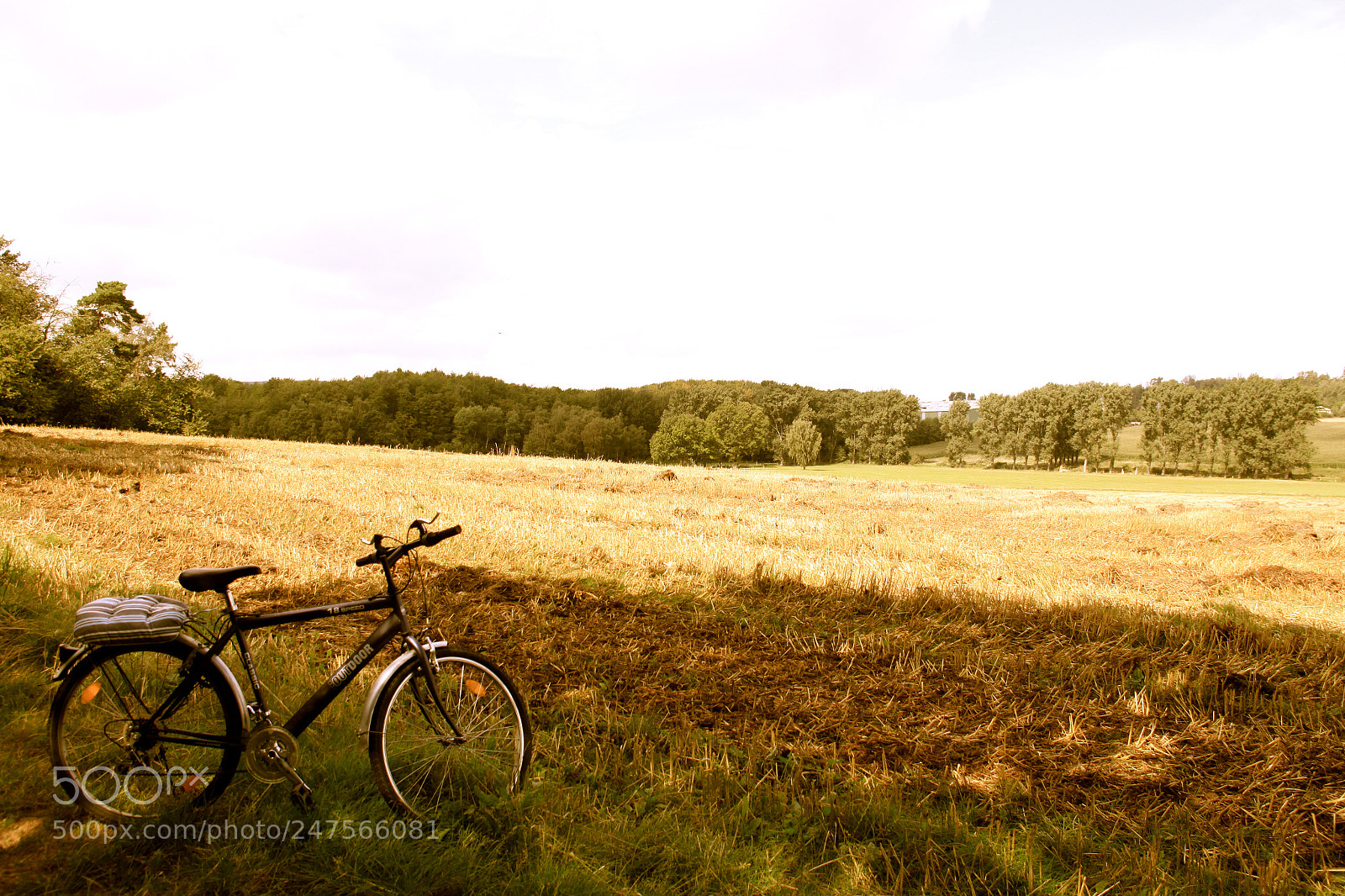 Canon EOS 50D sample photo. بريد المرج photography