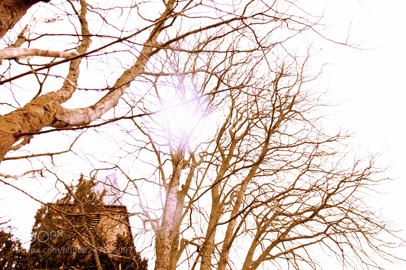 Canon EOS 50D sample photo. بلا آثر ٢ photography