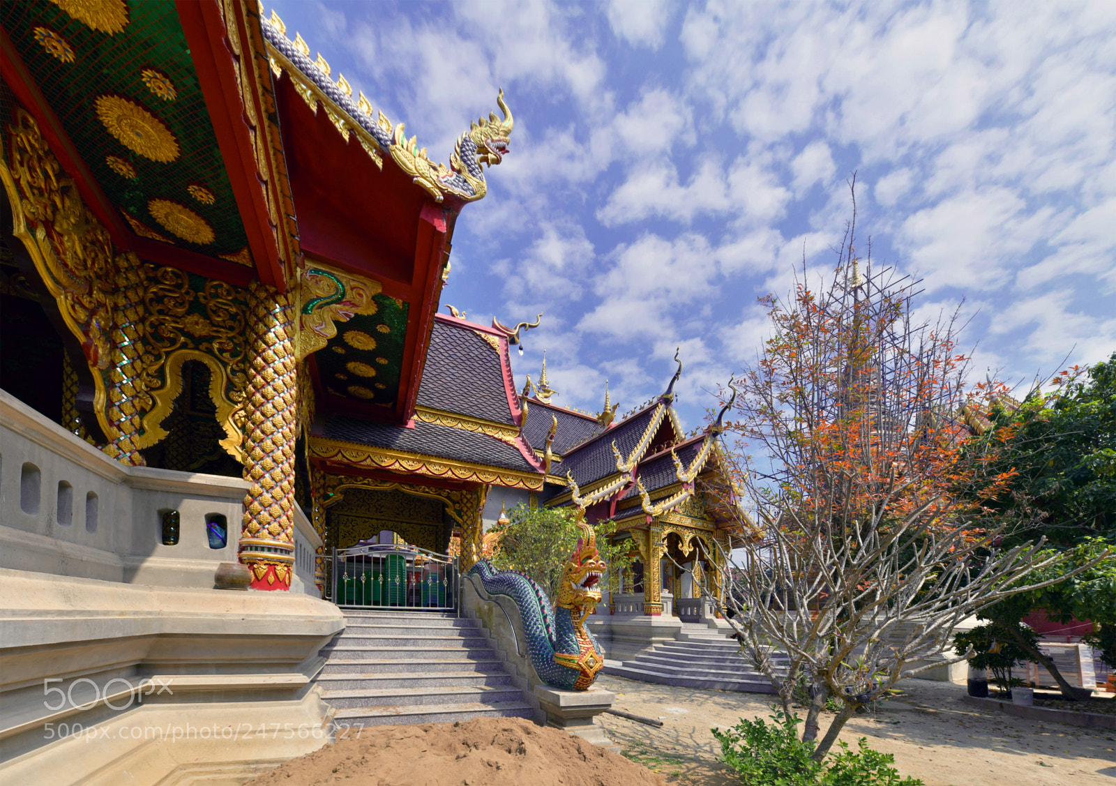 Nikon D850 sample photo. Temple en construction photography