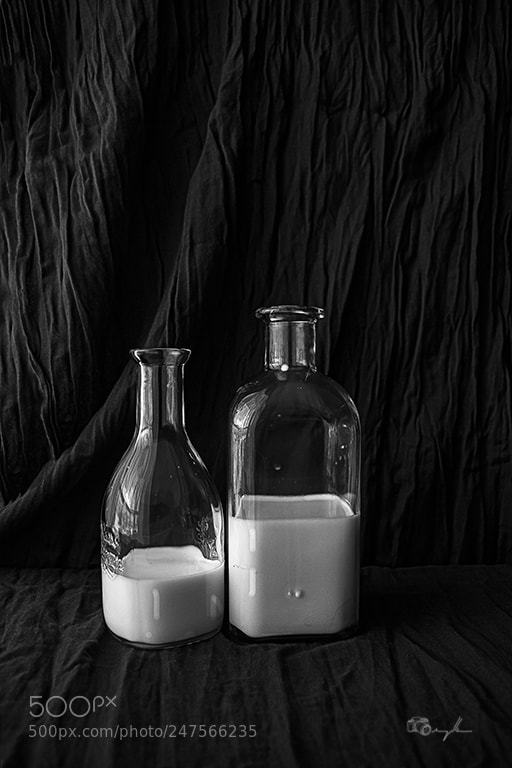 Canon EOS 500D (EOS Rebel T1i / EOS Kiss X3) sample photo. Dues botelles de llet photography
