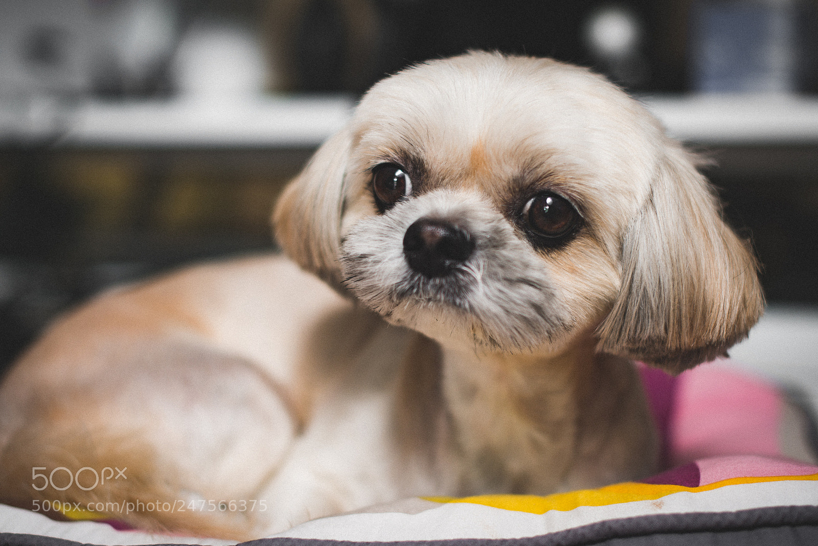 Nikon D800E sample photo. Untitled photography