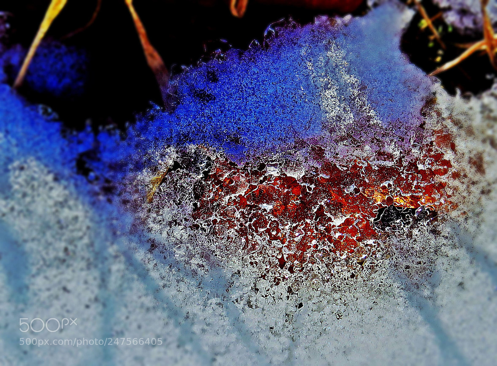 Canon PowerShot SX50 HS sample photo. Ice blanket photography