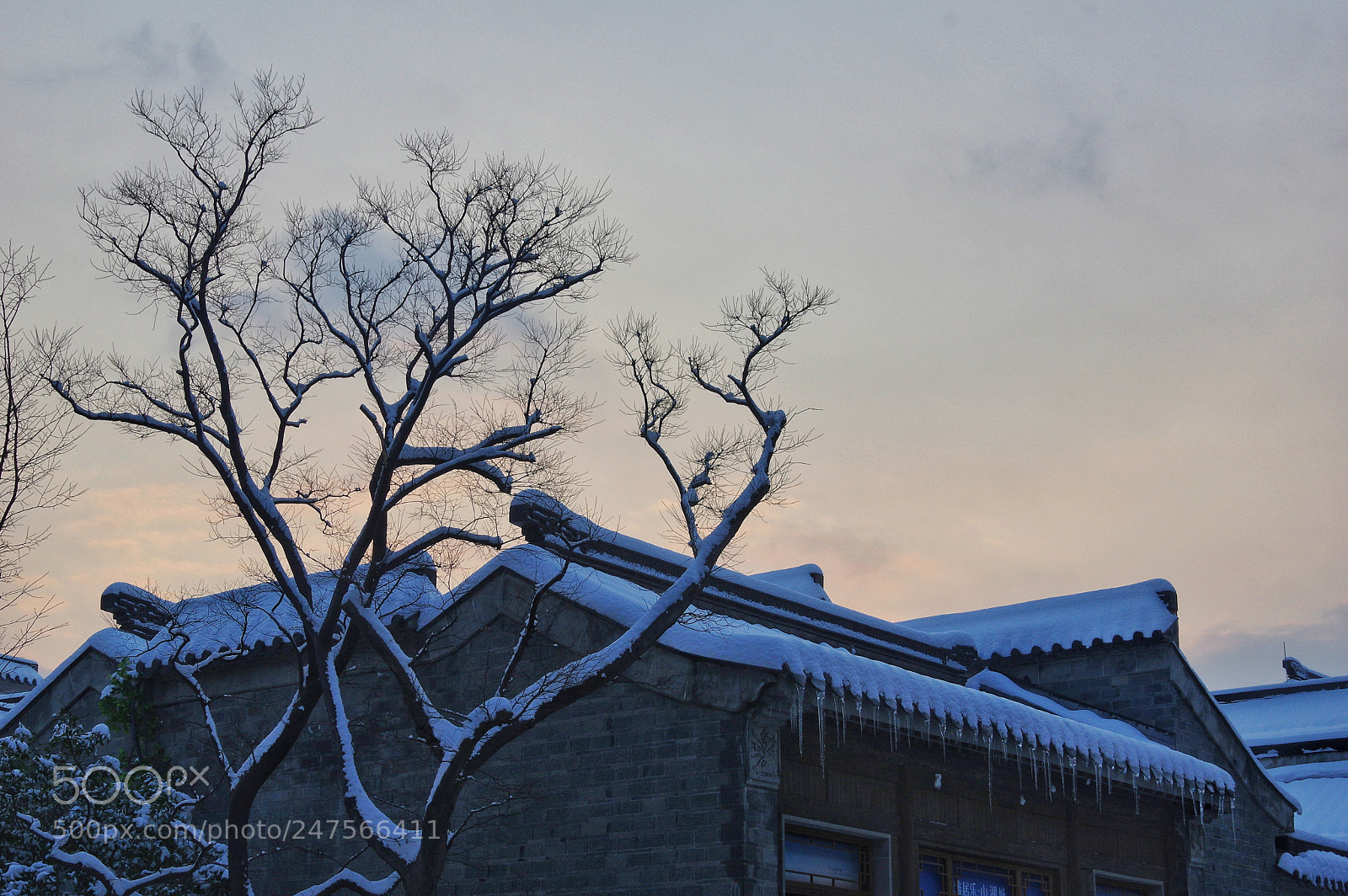Pentax K-3 II sample photo. Untitled photography