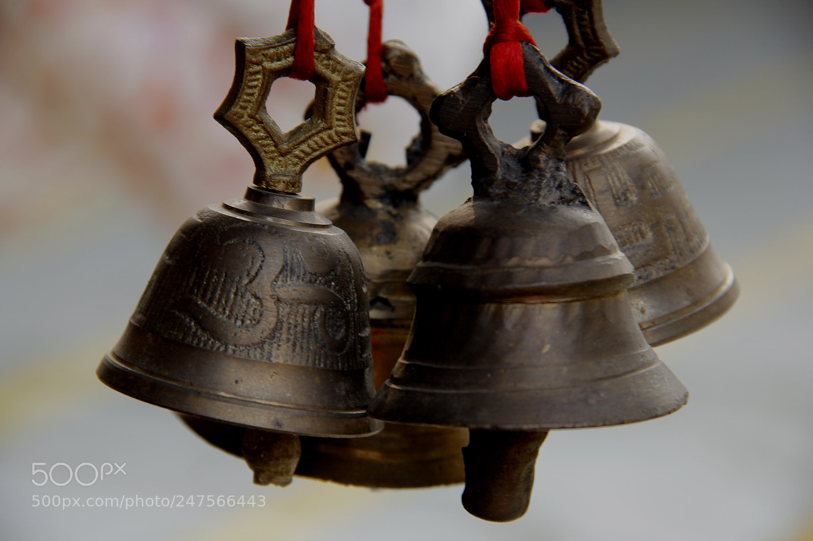 Canon EOS 60D sample photo. Mg photography