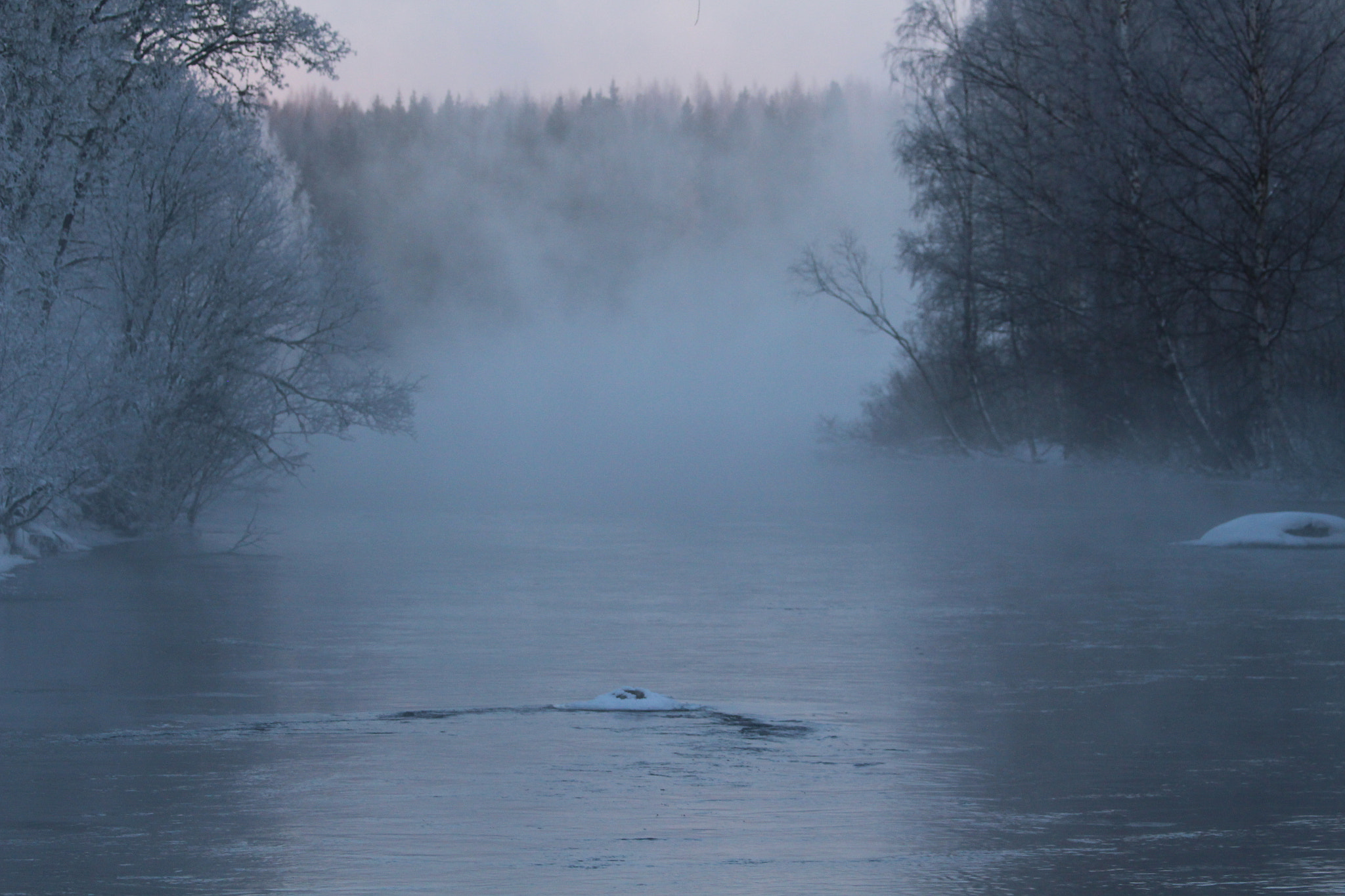 Canon EOS 700D (EOS Rebel T5i / EOS Kiss X7i) sample photo. Cold misty winter-morning.. photography