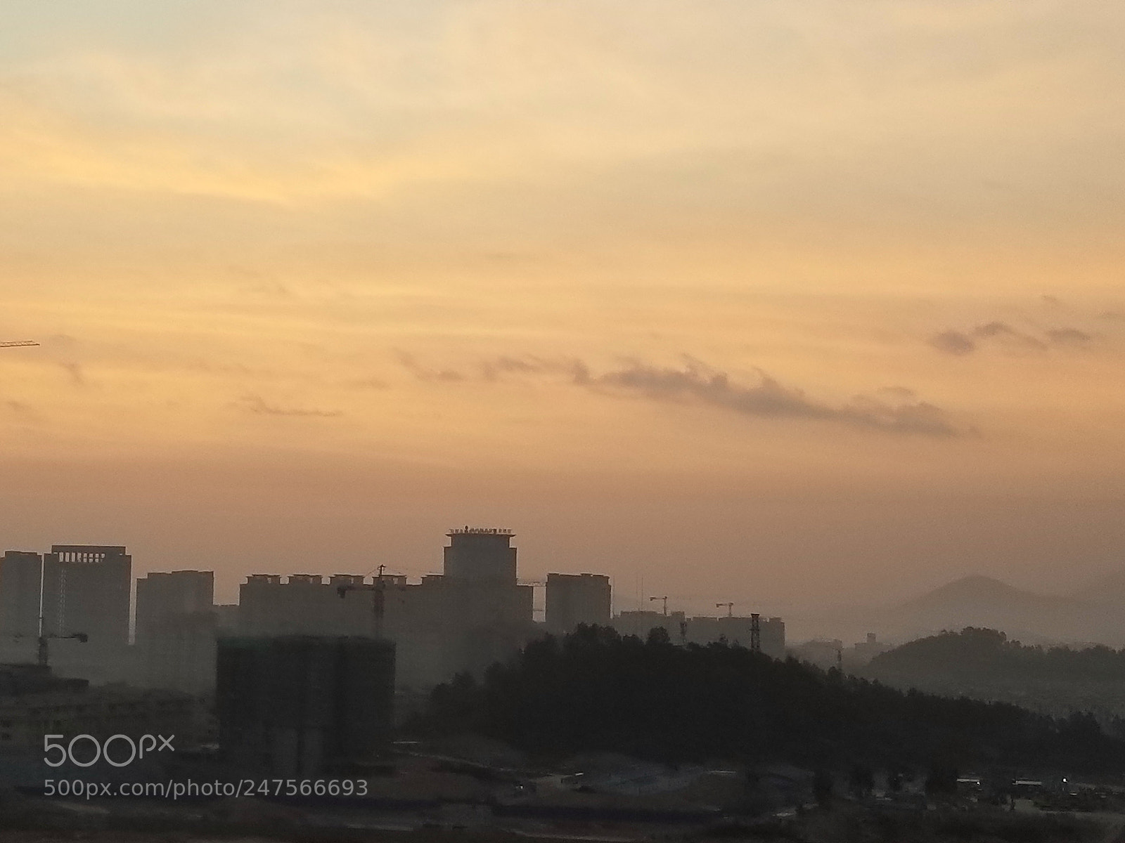 Samsung Galaxy S8+ sample photo. 26601169788.jpg photography