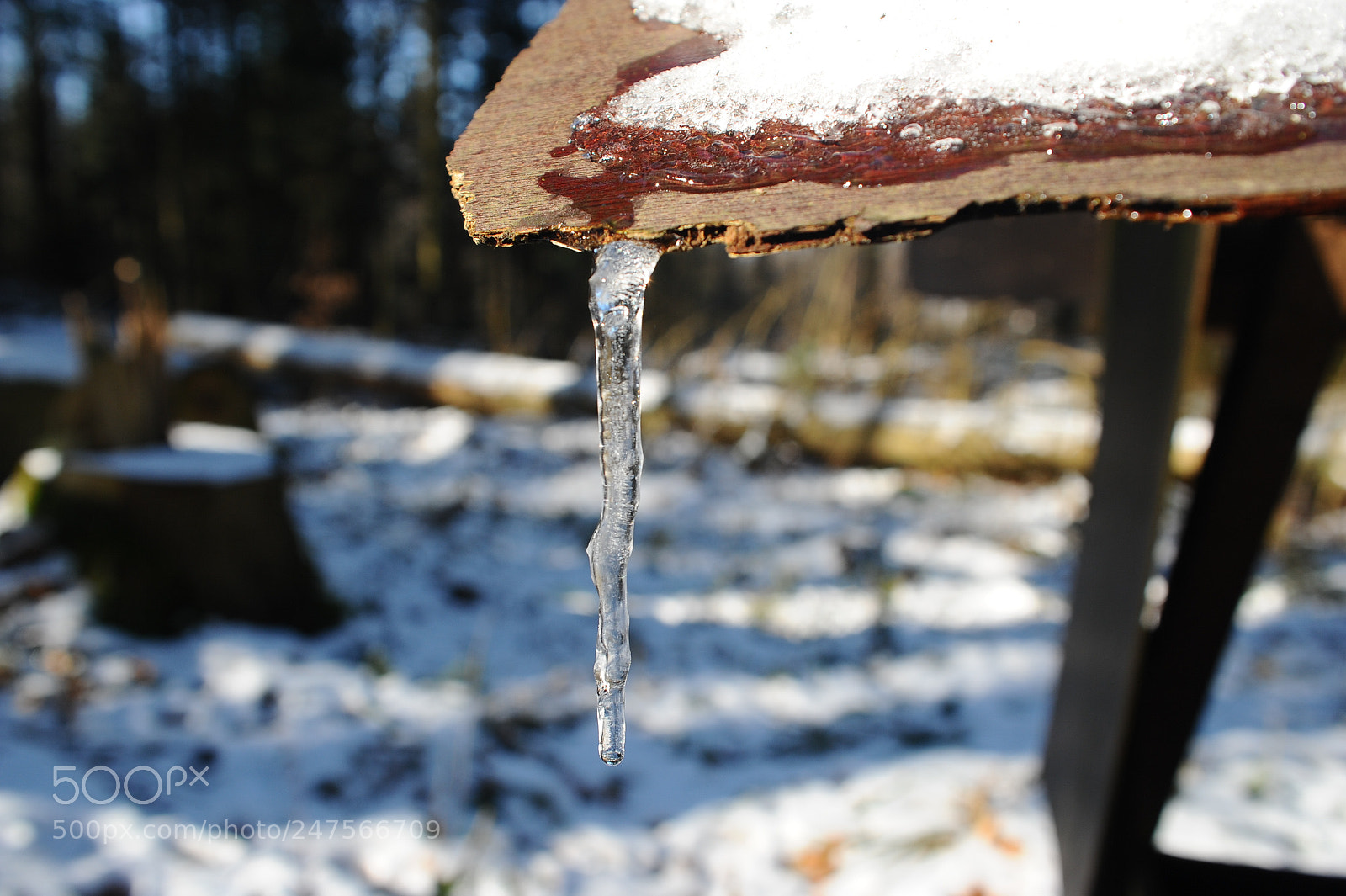 Nikon D700 sample photo. Melting away photography