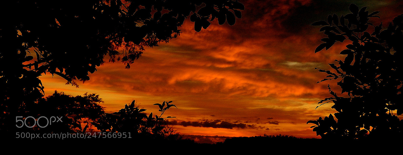 Fujifilm FinePix SL1000 sample photo. Colors in the morning ... photography