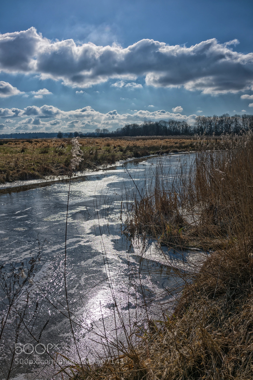 Sony Cyber-shot DSC-RX1R II sample photo. Cold photography